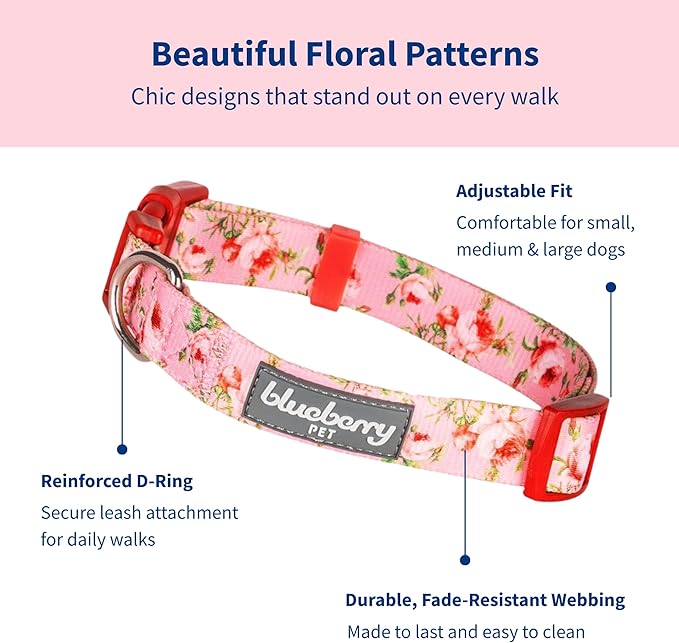 Blueberry Pet Spring Scent Floral Pink Dog Collar, Adjustable X-Small 7.5"-10", Dog Collars for Small Dogs, Puppy Collar, Small Dog Collar, Pink Dog Collar, Girl Dog Collars, Accessories