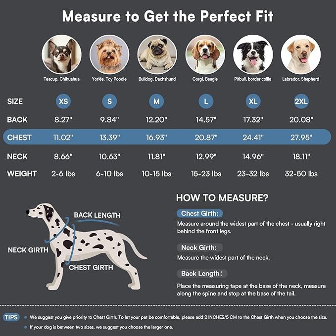 Queenmore Dog Sweater,Soft Fleece Vest Pullover Dogs Jacket with Elastic Stretchable,Warm Winter Dog Coats Cold Weather Doggy Dachshund Sweaters for Small Dogs Cats Boy or Girl (Grey, XL)