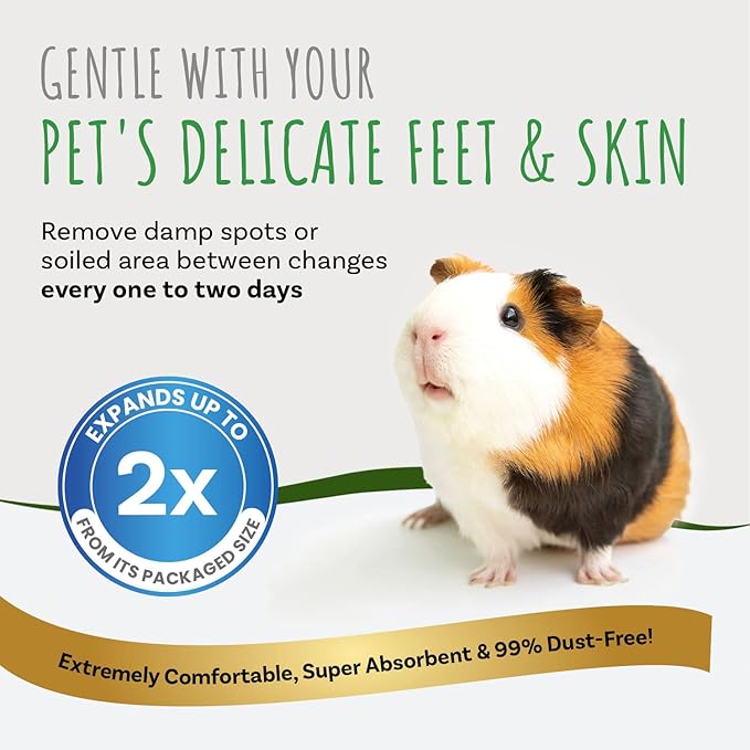 Small Pet Select Premium Natural Aspen Bedding, Animal Bedding for Small Indoor and Outdoor Pets, Made in The USA, Jumbo Size 282 L (2 Pack, 141 L Each)