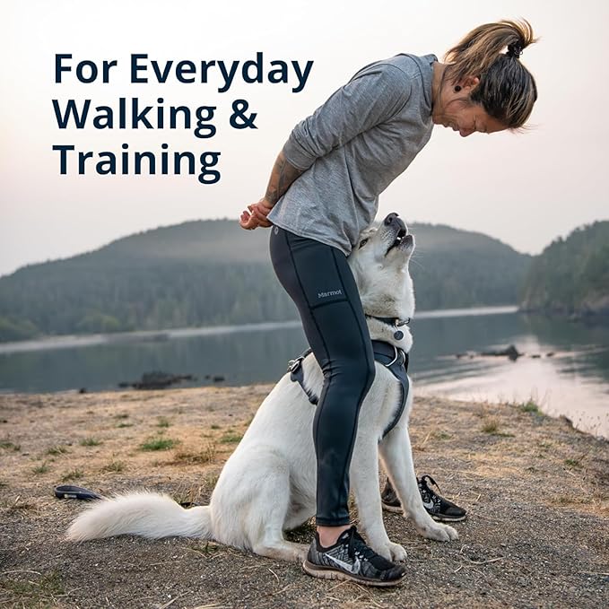 Ruffwear, Front Range Dog Harness, Reflective Soft Padded Everyday Harness with Dual Leash Clips, Adjustable and Lightweight Fit for Training or Walking for All Dogs, Coastal Mountains, Large/X-Large