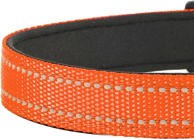 Reflective Dog Collar, Adjustable Soft Neoprene Padded Nylon Pet Collars with Buckle for Puppy and Small Dogs, Cats, Orange,XS