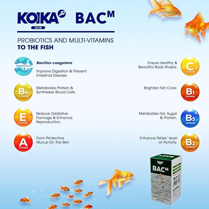 KOIKA BACM Natural Color Enhancement for Fish, Combination of Probiotic & Multi-Vitamins for Aquarium A, B6, B2, Pleasant Smell(BACM (Powder), 2.82 oz)