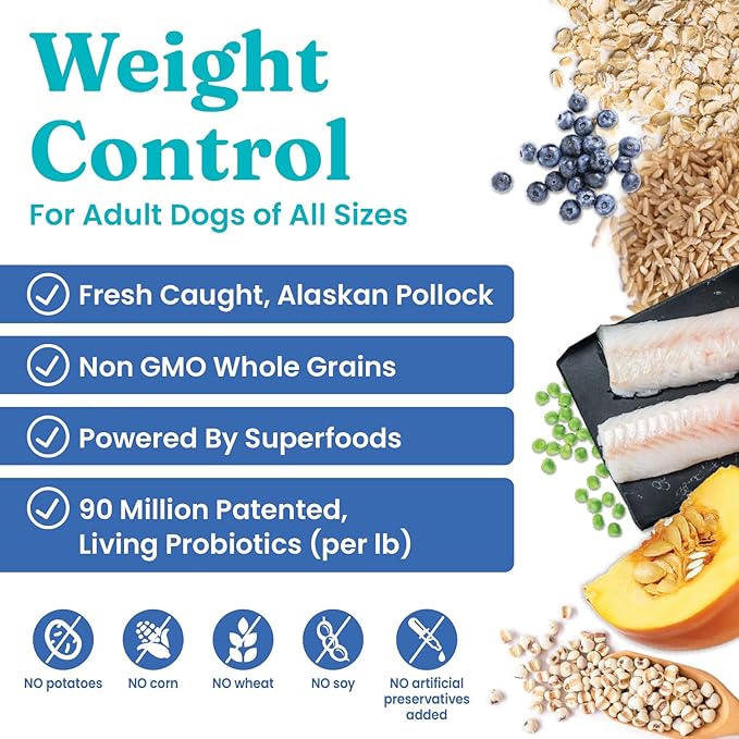 Solid Gold Healthy Weight Management Dry Dog Food for Adult & Senior Dogs - With Pollock, Whole Grain & Probiotics for Gut Health & Digestion Support - Dry Dog Food for Weight Management Support – 4LB