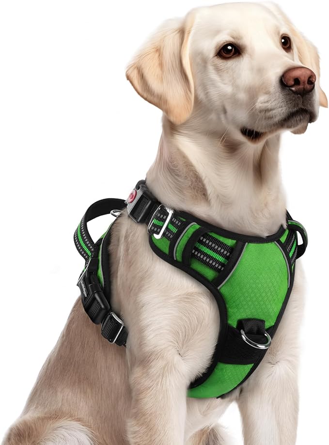 rabbitgoo Dog Harness for Large Dogs, No Pull Pet Vest with 3 Buckles, Adjustable Soft Padded Pet Harness with Easy Control Handle and Reflective Strips, Green, L