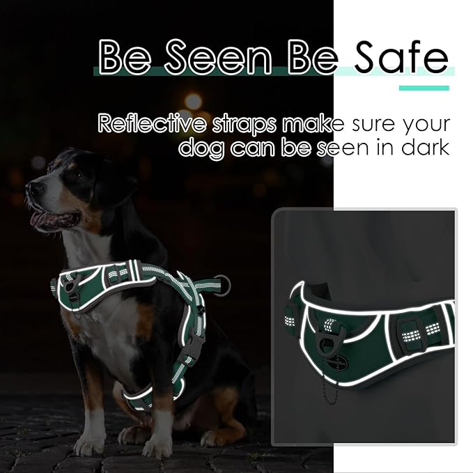 ADVENTUREMORE No Pull Dog Harness for Large Dogs, Sport Dog Halter Harness Reflective Breathable Dog Vest Escape Proof Dog Harness with Easy Control Front Clip Handle for Training Walking L Teal