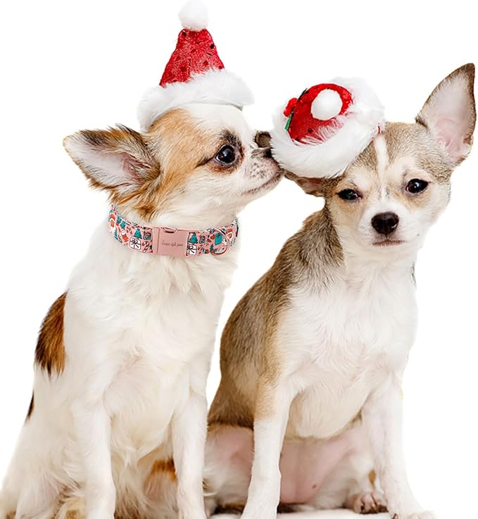Unique style paws Dog Collar Metal Buckle Collar for Winter Christmas for Small Medium Large Boys Girls Dogs