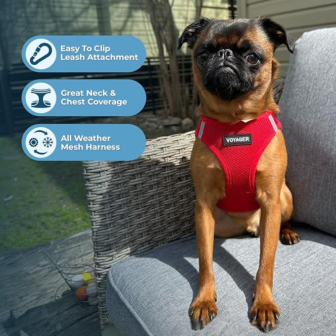 Best Pet Supplies Voyager Step-in Air Harness - All Weather Mesh, Reflective, No Pull Harness for Dogs, Cats - Secure with Hook & Loop Fastener, Buckle, Double D-Rings - Red, L