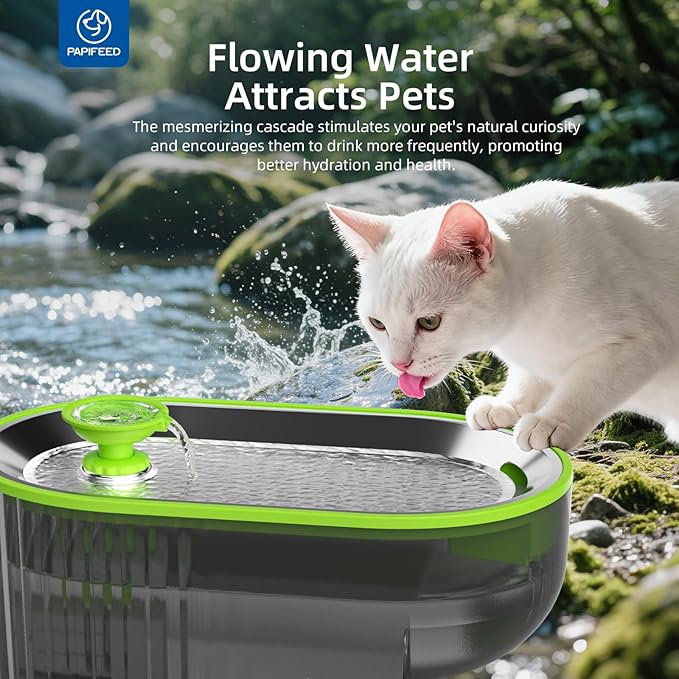 PAPIFEED Cat Water Fountain+ Stainless Steel Tray + 1 Silicone Mat+5 Filters+2 Sponges, 84 oz/2.5L Automatic Pet Drinking Fountain, Ultra Quiet Pet Fountain with Stainless Steel Tray, Easy to Clean