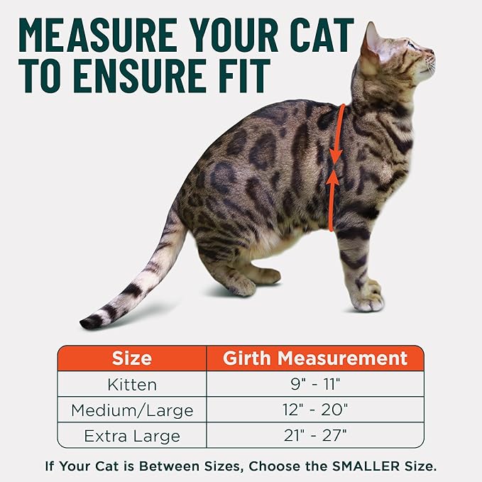 Houdini™ Escape Proof Cat Harness and Leash Set by OutdoorBengal for Walking Cats and Kittens (Leather, Large Cat)