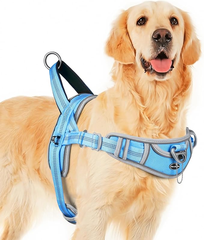 ADVENTUREMORE Dog Harness for Medium Dogs No Pull, Sport Dog Halter Harness Adjustable Reflective Dog Vest Escape Proof Dog Harness with Easy Control Front Clip Handle for Training Walking M Blue