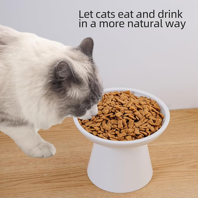 6.2 Inch Extra Wide Elevated Ceramic Cat Bowls, Food and Water Bowl Set for Elder Big Cats Small Dogs, Raised Design for Pet Easy Eating, Protect Cat's Spine Set of 1（White-1pc）