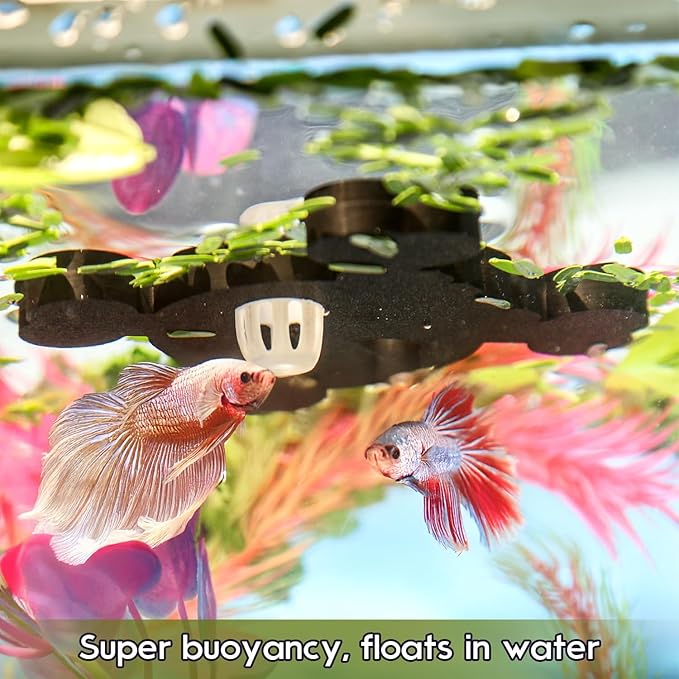 Abizoo Floating Fish Feeding Ring No Suction Cup Black Skull Halloween Decor,Aquarium Plant Barrier Floating Food Feeder Fish Tank Accessories for Betta Goldfish Shrimp Guppies Neon Tetra Zebra Danios