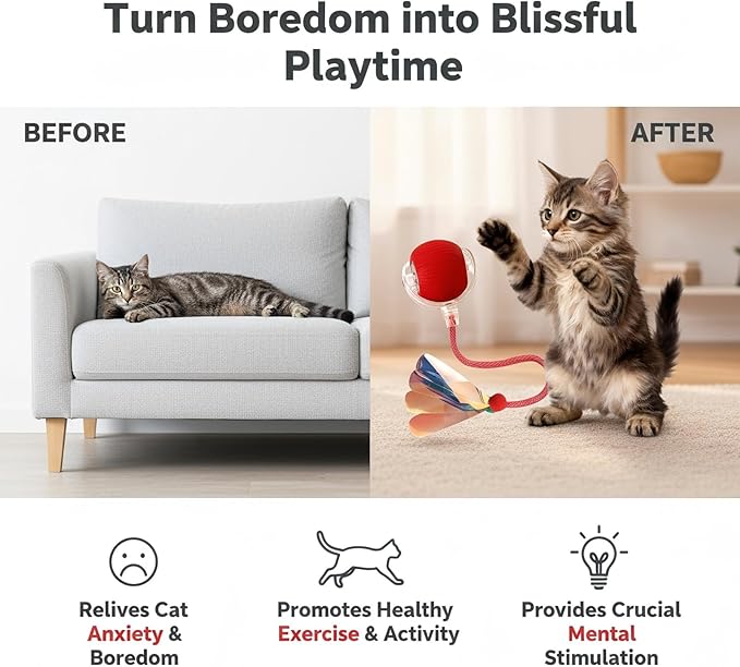 JBD Interactive Cat Toy Ball for Indoor Cats - Silent Automatic Rolling & Self Moving Electric Kitten Toys, USB Rechargeable Smart Ball with Tail, Motion Activated Hunting Exercise for Bored Cats