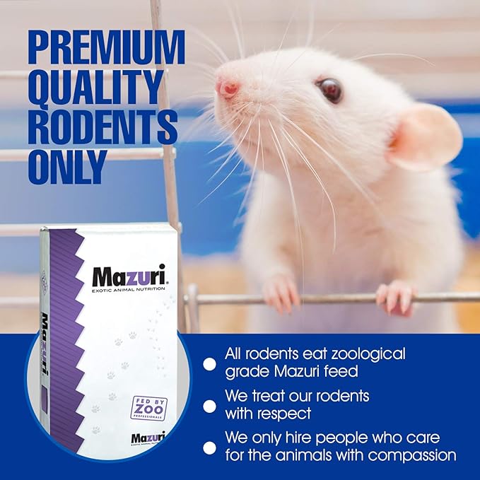 MiceDirect EST. 2003 40 Frozen Mice Small Fuzzie Feeders Snake Food for Juvenile Hognose Corn Milk (.5-1 in) (120 Grams Min)