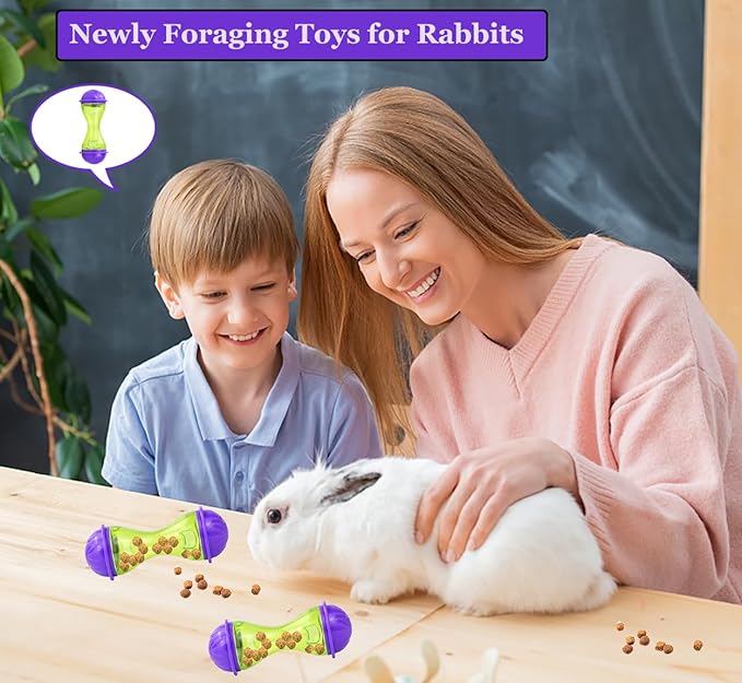 2Pcs Rabbit Treat Ball Interactive Bunny Toys Food Dispensing Guinea Pig Toys Slow Feeder for Rabbits, Guinea Pigs, Reptile