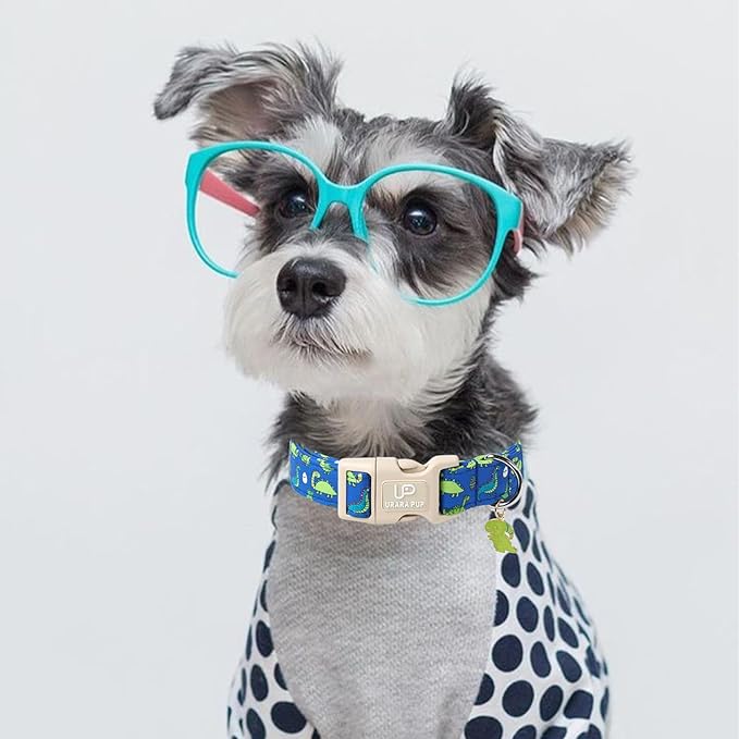 Summer Dog Collar-Dinosaur Dog Collars with Dino Eggs-Blue Summer Pet Dollar-Soft, Adjustable & Stylish for Small/Medium Dogs
