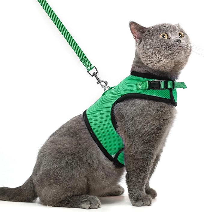 PUPTECK Soft Mesh Cat Vest Harness and Leash Set Puppy Padded Pet Harnesses Escape Proof for Cats Small Dogs Rabbits Bunny