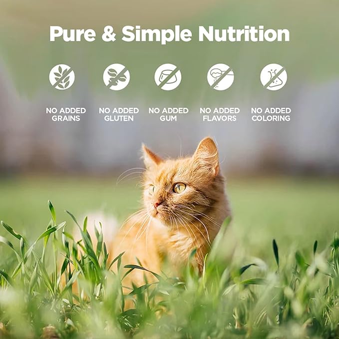 ZEAL New Zealand Wet Cat Food – High Protein, Grain-Free with Superfoods (Venison, 3.17oz Can, 24-Pack)