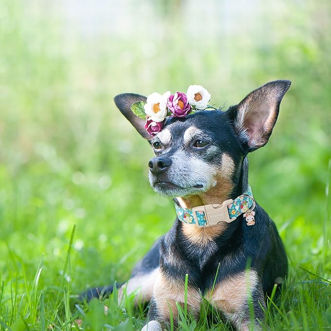 DOGWONG Cute Flower Bunny Eggs Easter Dog Collar - Pink, Adjustable for Medium & Large Dogs