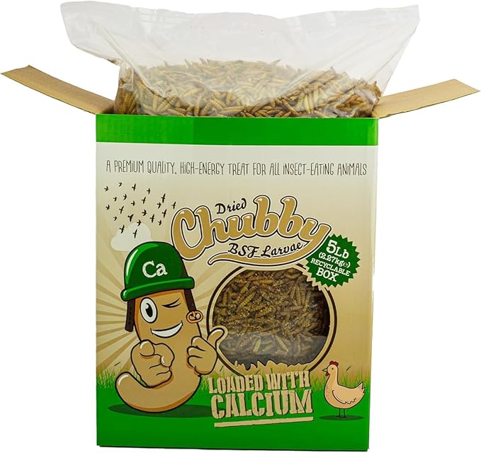 Chubby Dried Black Soldier Fly Larvae | 5 lbs Box | Non-GMO High-Protein Insect Treat for Chickens, Ducks & Wild Birds – Calcium-Rich Chicken Feed