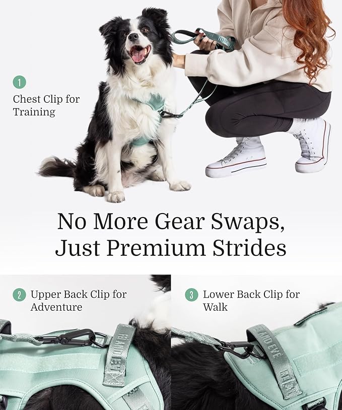 2025 New Edition, Fei & Eve Classic Dog Harness - Quick-Release Buckles | 3-Point No-Pull Control | Heavy-Duty 900D Nylon | Dual Safety Handles | Breathable Mesh | Adjustable Fit | Small,Green