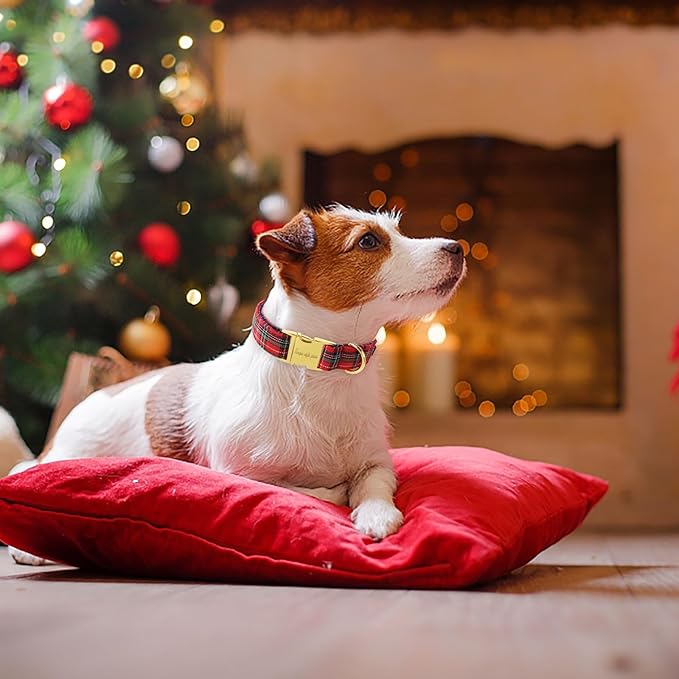 Unique style paws Christmas Dog Collar Metal Buckle Scottish Plaid Puppy Collar Gift Durable Cute Collar for Small Medium Large Boys Girls Dogs