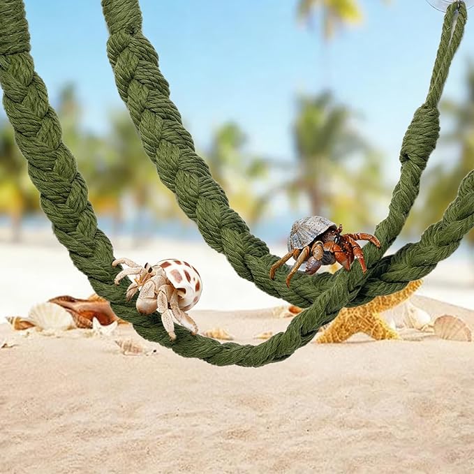 kathson 3pcs Hermit Crab Climbing Toys, Hermit Crab Climbing Rope Ladder with 10 Hook Suction Cup Reptile Tank Terrarium Accessories for Lizards Snakes Geckos (Green)