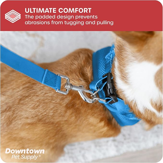 Downtown Pet Supply Step-in Dog Harness – No Pull, Adjustable Padded Mesh with Reflective Trim, Secure Buckle Strap – Comfortable & Breathable Small Dog Harness, Large, Cobalt