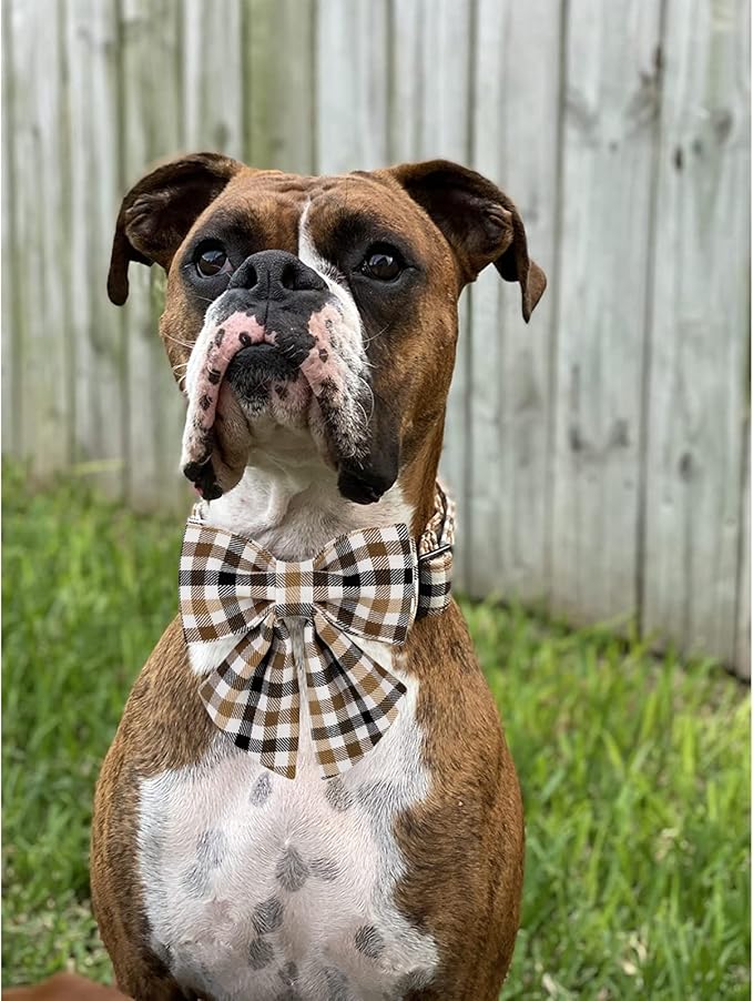 Unique style paws Christmas Dog Collar with Bow Tie Brown Plaid Puppy Collar for Small Medium Large Dogs as Autumn Winter Pet Gifts-XS