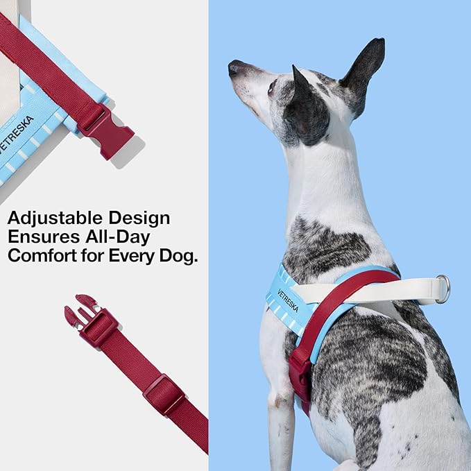 VETRESKA Dog Harness Medium Sized Dog No Pull, Adjustable No Choke Dog Vest, Easy Control & Walk Harness for Large Size Dogs, Pet Vest Harness with Heavy Duty Anti-Tangle Dog Leash, Misty Melo M