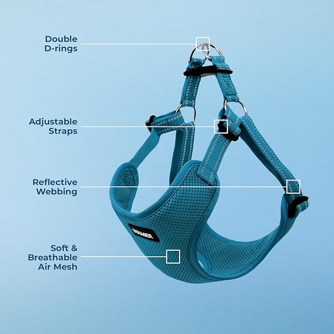 Best Pet Supplies Voyager Mesh Dog Breathable Harness Reflective Stitching, All Weather Adjustable for Walking Training, or Running - Heavy Duty & Durable, Harness (Turquoise), XL