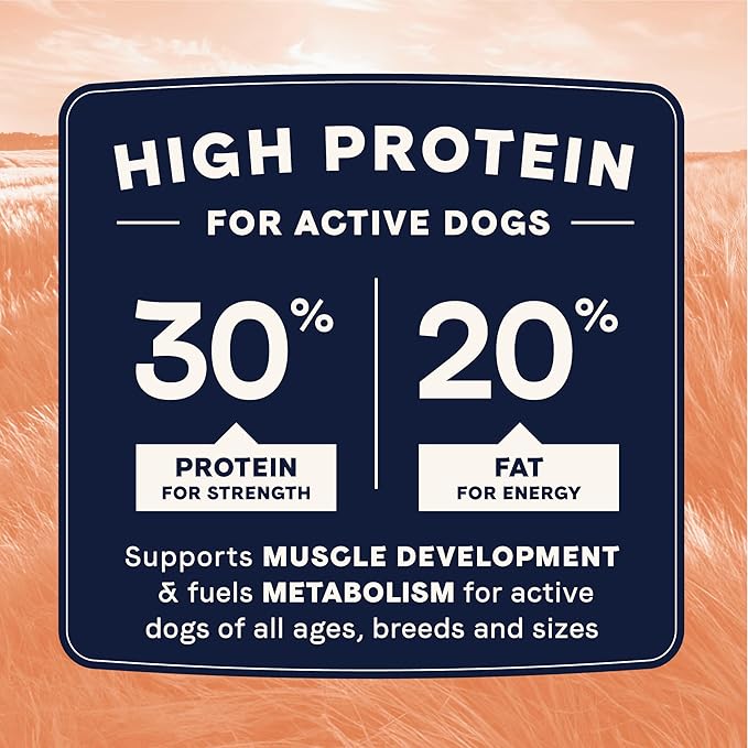 CANIDAE All Life Stages High Protein Dry Dog Food, Salmon & Ancient Grains Recipe, 4 lbs. (Pack of 2)