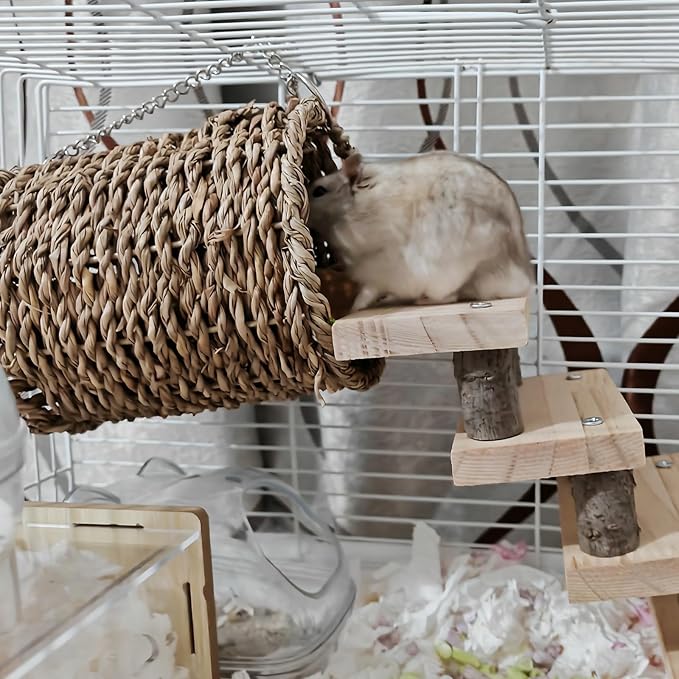 Hamiledyi Hamster Climbing Ladder Wood Stair and Hanging Hammock Set Wooden Molar Toys Cage Accessories for Syrian Hamster Gerbil Mice