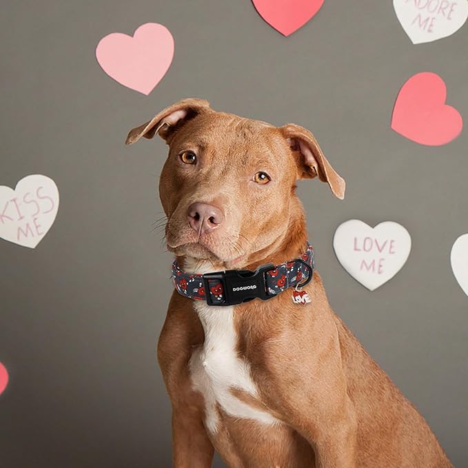 DOGWONG Valentine's Day Dog Collar, Cute Heart Dog Collars, Adjustable Valentine Red Heart Pet Collars Design Dog Collar with Quick Release Buckle for Puppy Girl Boy Female Dogs