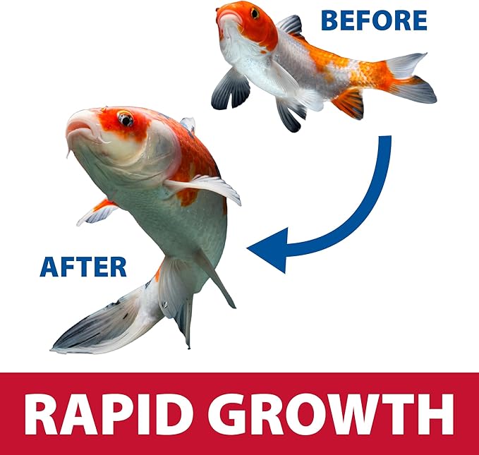 The Pond Guy Growth & Vibrance Fish Food for Show Quality Koi & Goldfish, Premium Protein Floating Pellets for Balanced Nutrition, 40 lbs