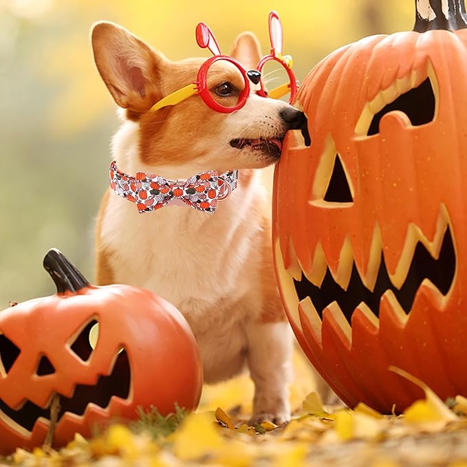 Unique Style Paws Halloween Day Dog Collar with Bow Pumpkin Cotton Dog Collars for Small Medium Large Dogs
