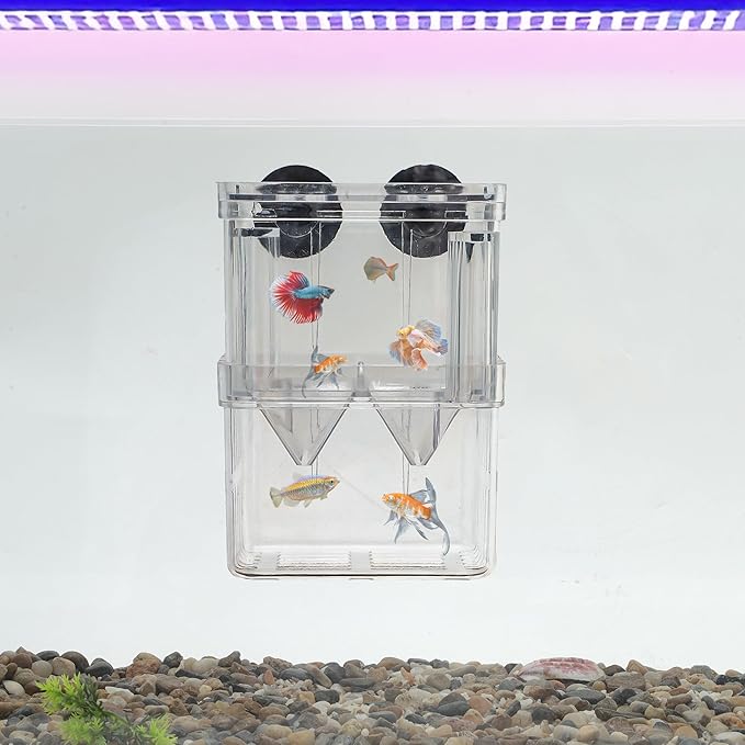Fish Breeder Box, Easy-to-Use Breeder Tank Divider, Breeder Box for Fish Tank, Versatile Breeder System, L, Clear, 1 Set