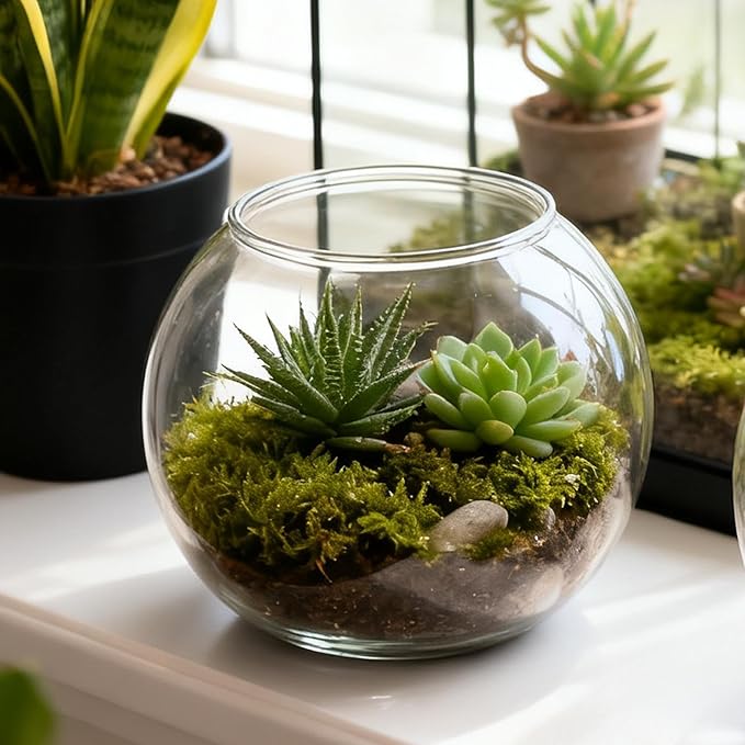 Fish Bowl - Clear Shatter-Resistant Aquarium Accessories | Clear Bubble Planter Fish Bowl - for Table Centerpiece Party Decorations Home Event Indoor