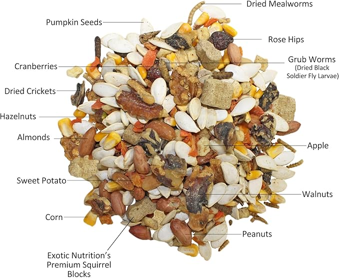 Exotic Nutrition Squirrel Complete (4 lb.) - Healthy Natural Food for Squirrels - Ground, Grey, and Flying Squirrels