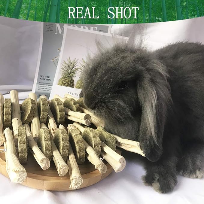 kathson Guinea Pig Treats Hanging Bunny Chew Toys for Teeth Grinding, Organic Bamboo Sticks Natural Rabbit Enrichment Toys for Small Animals Hamster Chinchilla 2 Pack