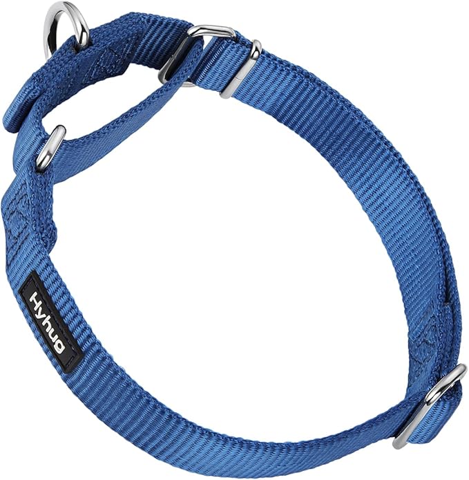Hyhug Martingale Collar for Dogs Small Blue |Escape - Proof Heavy Duty Nylon Durable No Buckle, Ideal for Training & Daily Walks