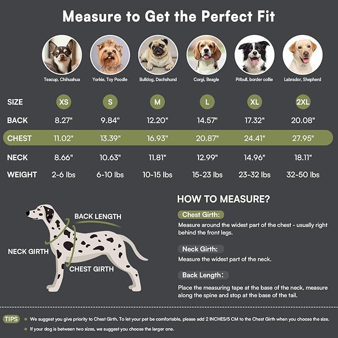 Queenmore Dog Sweater,Soft Fleece Vest Pullover Dogs Jacket with Elastic Stretchable,Warm Winter Dog Coats Cold Weather Doggy Dachshund Sweaters for Small Dogs Cats Boy or Girl (Green, 2XL)