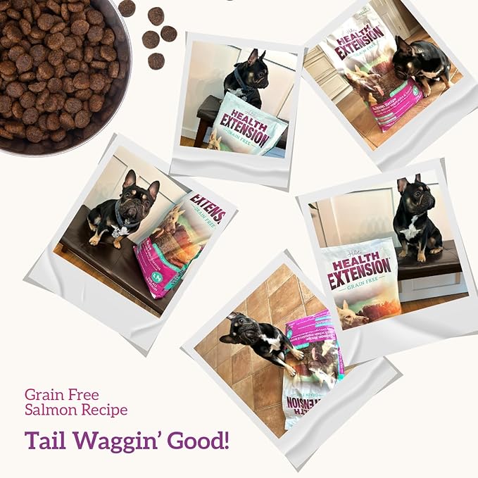 Health Extension Grain Free Salmon & Sweet Potato Dry Dog Food - 30+ Superfoods and Probiotics for All Life Stages (4lb)