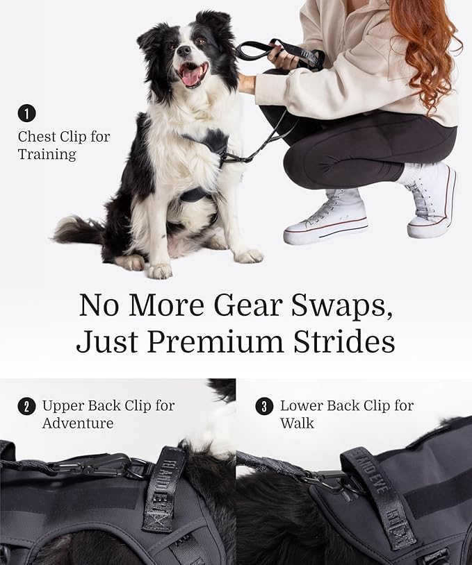 2025 New Edition, Fei & Eve Classic Dog Harness - Quick-Release Buckles | 3-Point No-Pull Control | Heavy-Duty 900D Nylon | Dual Safety Handles | Breathable Mesh | Adjustable Fit | Small,Black