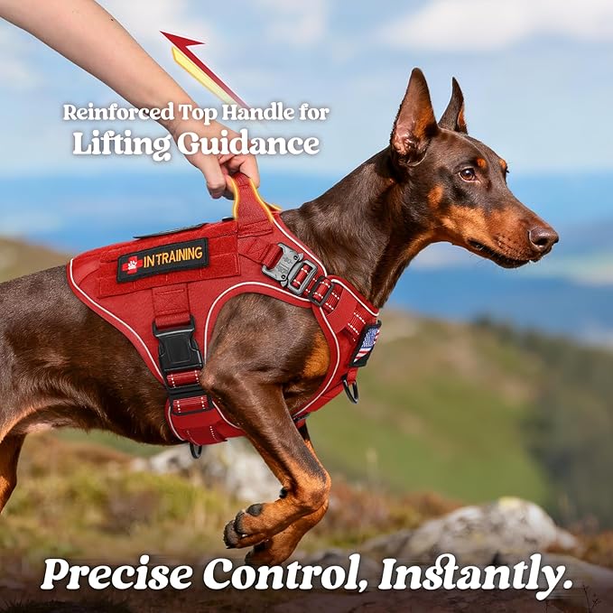 rabbitgoo Tactical Dog Harness Medium Sized, No Pull Upgraded Reflective Heavy Duty Molle Vest with Handle, Adjustable Military Service Dog Vest for Walking Hiking Training, Red, M