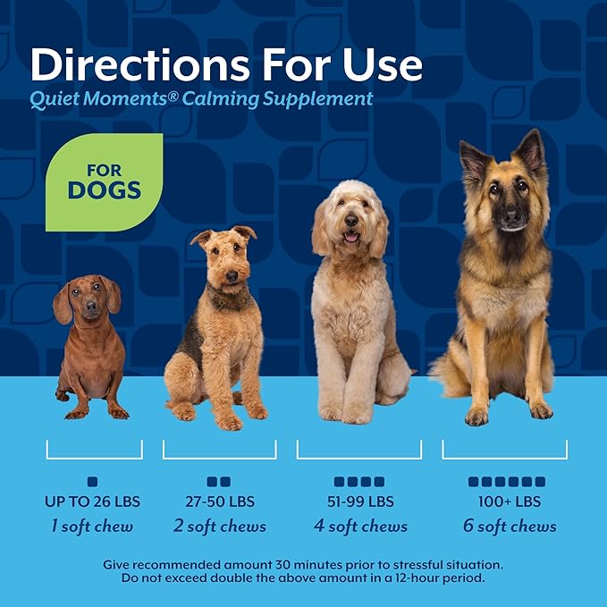 NaturVet Quiet Moments Calming Dog Supplement, Dog Soft Chews with Melatonin to Help Reduce Stress from Storms, the Vet, Fireworks, and Travel, Bacon and Chicken Flavored Pet Supplement, 240 Count Jar