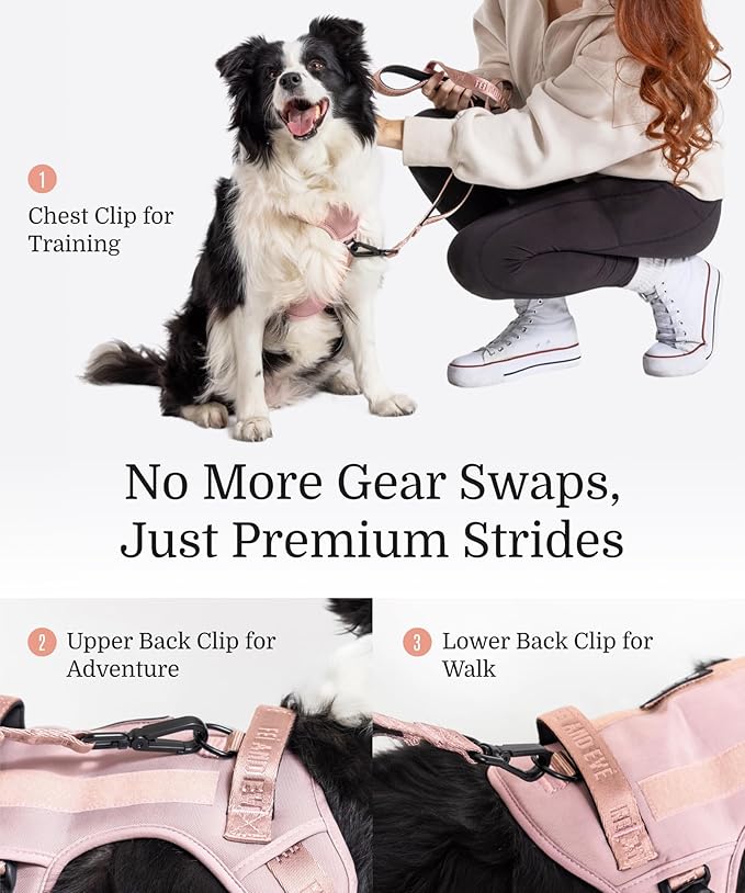 2025 New Edition, Fei & Eve Classic Dog Harness - Quick-Release Buckles | 3-Point No-Pull Control | Heavy-Duty 900D Nylon | Dual Safety Handles | Breathable Mesh | Adjustable Fit | Large,Pink