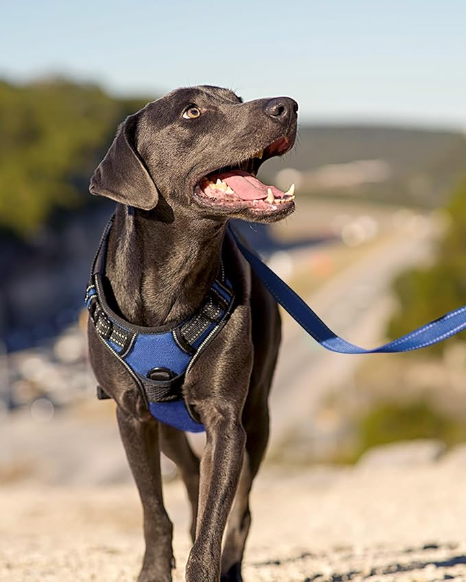 Joytale No Pull Dog Harness for Small Dogs, Reflective Pet Vest with Front Clip, Adjustable Soft Padded Harnesses with Easy Control Handle for Training and Walking, Navy Blue, S