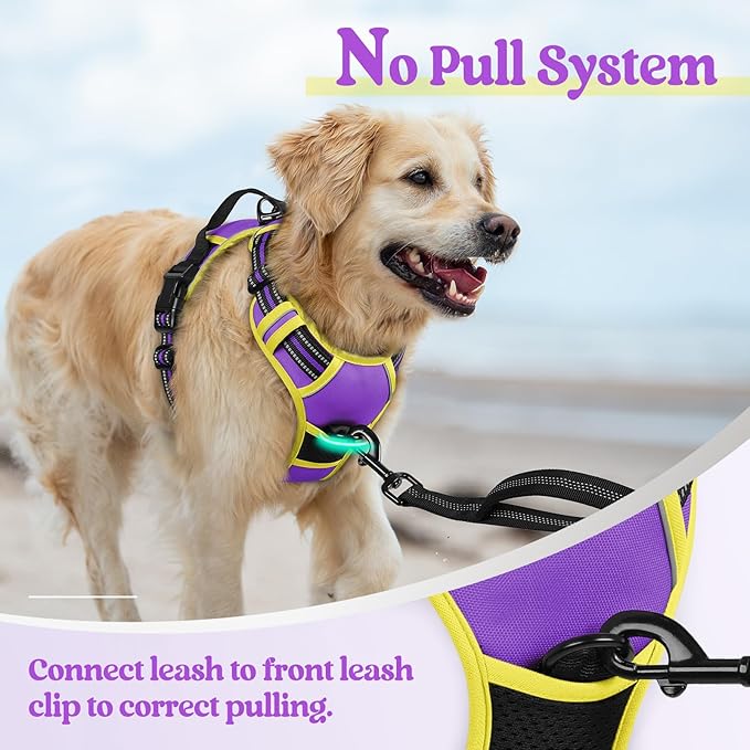 rabbitgoo Dog Harness No Pull with 2 Leash Clips, Adjustable Soft Padded, Reflective Oxford No Choke Pet Vest with Easy Control Handle for Medium Sized Dogs, Purple & Yellow, M