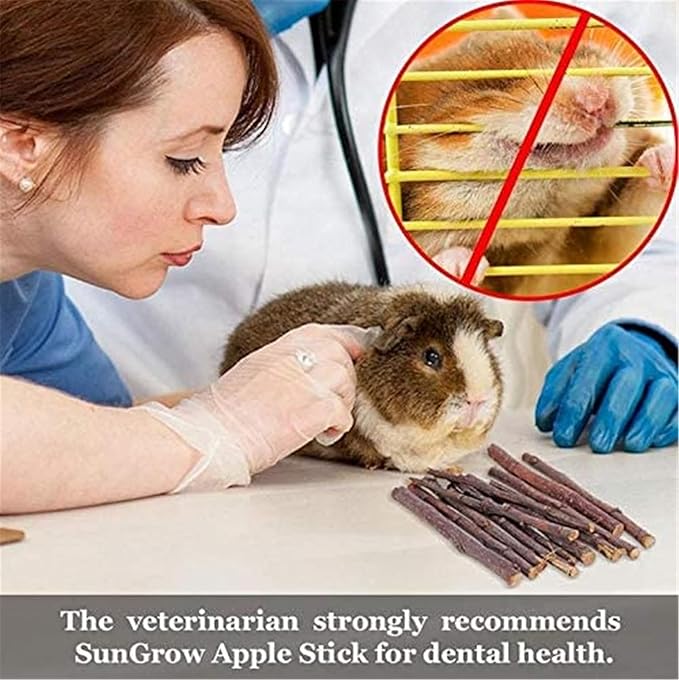 28PCS Bunny Chew Toys for Teeth, Natural Rabbit hamstersToys Apple Wood Grass Timothy Sticks Chew and Treat for Guinea Pigs Chinchillas